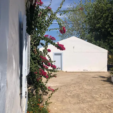 Toca Manas Lejlighed *