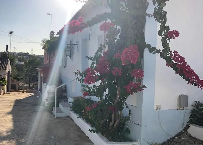 Toca Manas Διαμέρισμα