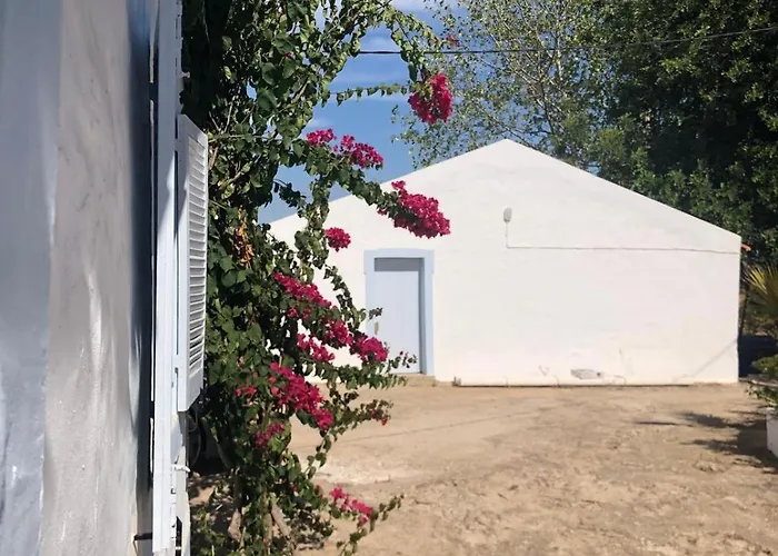 Toca Manas Apartament *